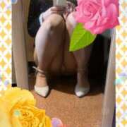 ヒメ日記 2025/04/17 16:25 投稿 みれい 性腺熟女100％鶯谷（デリヘル市場）