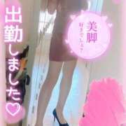 ヒメ日記 2024/12/15 10:22 投稿 まひろ ハピネス東京