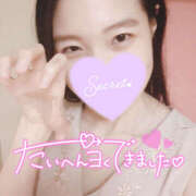 ヒメ日記 2025/01/19 14:08 投稿 まひろ ハピネス東京