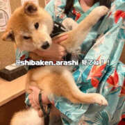 ヒメ日記 2025/03/09 15:27 投稿 まひろ ハピネス東京