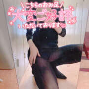 ヒメ日記 2025/03/16 07:07 投稿 まひろ ハピネス東京