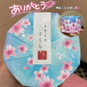 ヒメ日記 2025/03/17 07:09 投稿 まひろ ハピネス東京