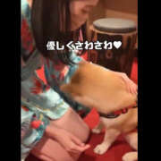 ヒメ日記 2025/03/17 12:08 投稿 まひろ ハピネス東京