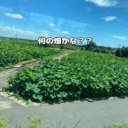 ヒメ日記 2025/07/22 12:10 投稿 まひろ ハピネス東京