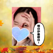 ヒメ日記 2025/11/11 01:37 投稿 まひろ ハピネス東京