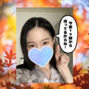 ヒメ日記 2025/11/16 12:37 投稿 まひろ ハピネス東京