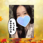 ヒメ日記 2025/11/22 05:37 投稿 まひろ ハピネス東京