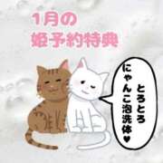 ヒメ日記 2025/12/23 19:37 投稿 まひろ ハピネス東京