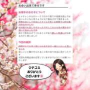 ヒメ日記 2026/02/28 12:37 投稿 まひろ ハピネス東京