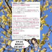 ヒメ日記 2026/03/17 12:27 投稿 まひろ ハピネス東京