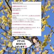 ヒメ日記 2026/03/21 12:37 投稿 まひろ ハピネス東京