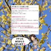 ヒメ日記 2026/03/23 12:37 投稿 まひろ ハピネス東京