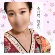 ヒメ日記 2026/03/29 07:47 投稿 まひろ ハピネス東京