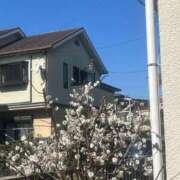 ヒメ日記 2025/02/28 01:58 投稿 良(りょう) 熟女出逢い会『百合の園』目黒店