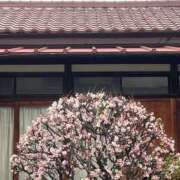 ヒメ日記 2025/03/04 16:28 投稿 良(りょう) 熟女出逢い会『百合の園』目黒店