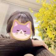 ヒメ日記 2025/03/06 15:48 投稿 良(りょう) 熟女出逢い会『百合の園』目黒店