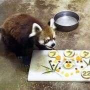 ヒメ日記 2025/07/07 00:08 投稿 良(りょう) 熟女出逢い会『百合の園』目黒店