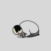 ヒメ日記 2025/05/17 13:43 投稿 つぐみ YESグループ　華女