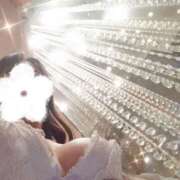 ヒメ日記 2026/02/17 08:19 投稿 みく 鶯谷おかあさん