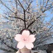 ヒメ日記 2026/04/03 09:50 投稿 みく 鶯谷おかあさん