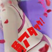 ヒメ日記 2024/12/13 17:16 投稿 花宮 ひびき SUMIRE