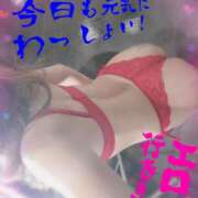 ヒメ日記 2024/12/31 08:34 投稿 花宮 ひびき SUMIRE