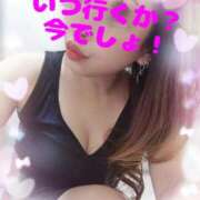 ヒメ日記 2025/02/19 12:24 投稿 花宮 ひびき SUMIRE