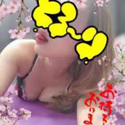 ヒメ日記 2025/04/01 08:50 投稿 花宮 ひびき SUMIRE