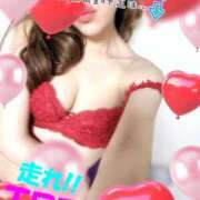 ヒメ日記 2025/04/10 06:50 投稿 花宮 ひびき SUMIRE