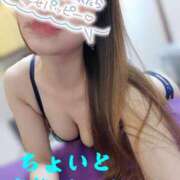 ヒメ日記 2025/05/31 08:02 投稿 花宮 ひびき SUMIRE