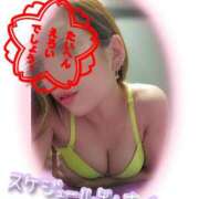 ヒメ日記 2025/06/25 16:47 投稿 花宮 ひびき SUMIRE