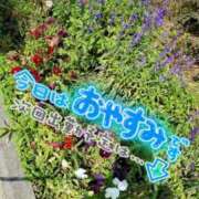 ヒメ日記 2025/07/01 13:49 投稿 花宮 ひびき SUMIRE