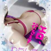 ヒメ日記 2025/08/01 07:44 投稿 花宮 ひびき SUMIRE