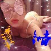 ヒメ日記 2025/09/20 07:23 投稿 花宮 ひびき SUMIRE