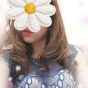 ヒメ日記 2025/11/27 07:27 投稿 花宮 ひびき SUMIRE