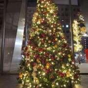 ヒメ日記 2025/12/24 13:48 投稿 花宮 ひびき SUMIRE