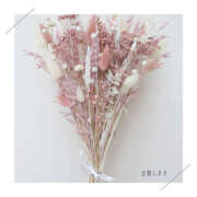 ヒメ日記 2025/03/14 02:21 投稿 ななせ 治療院.LOVE 宇都宮店