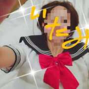 ヒメ日記 2024/12/19 15:58 投稿 板実 華恋人(カレント)