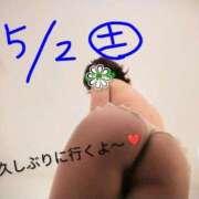 板実 GW　に行くよ〜 華恋人(カレント)