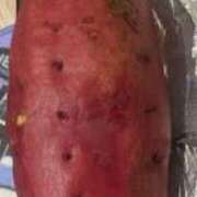 五十風くいな 秋🍄🌰 メンズエステ葛西＠彼女はエステシャン