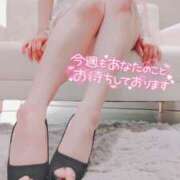 ヒメ日記 2025/03/10 13:01 投稿 心音(ここね) 可憐な妻たち 太田店