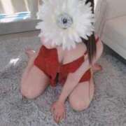 ヒメ日記 2025/04/19 21:00 投稿 心音(ここね) 可憐な妻たち 太田店