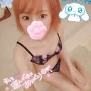 ヒメ日記 2026/02/14 13:39 投稿 みな 角海老石亭