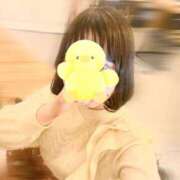 つむぎ 🐣お礼🐣 横浜ひよこ倶楽部