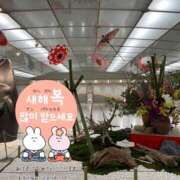 ヒメ日記 2025/01/01 00:57 投稿 すもも スピード日本橋店