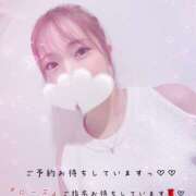 ヒメ日記 2025/02/01 11:47 投稿 すもも スピード日本橋店