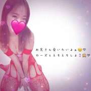 ヒメ日記 2025/03/30 17:37 投稿 すもも スピード日本橋店