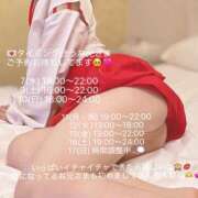 ヒメ日記 2025/08/05 20:37 投稿 すもも スピード日本橋店