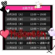 ヒメ日記 2025/10/28 02:57 投稿 すもも スピード日本橋店