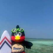 ヒメ日記 2025/02/17 13:56 投稿 沙知【さち】 輝女